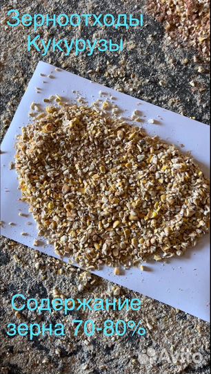 Зерноотходы кукурузы
