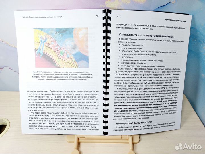 Гормональные проблемы кожи Е.Эрнандес