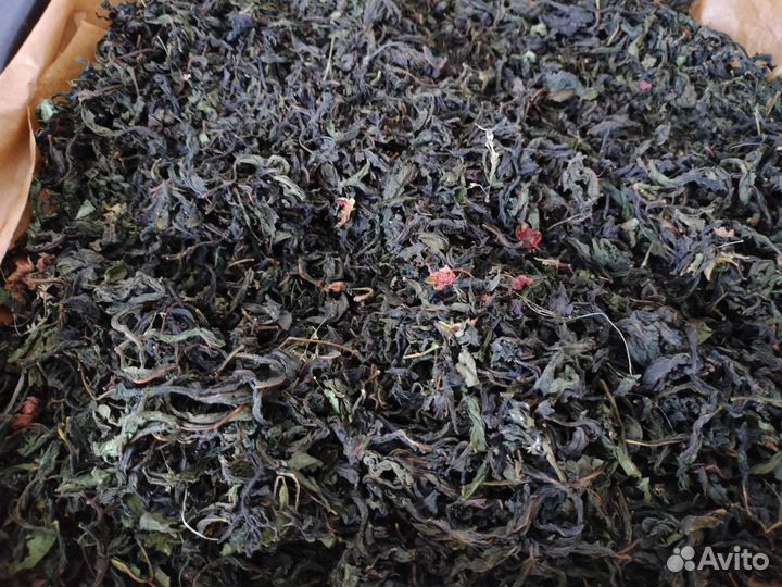 Иван чай, сбор июль 2023