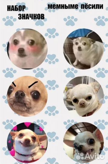 Набор значков мемные пёсели