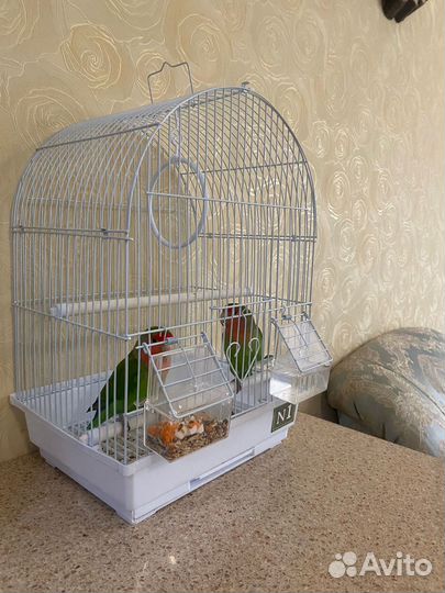 Клетка для попугая
