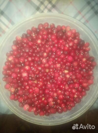 Дары болота