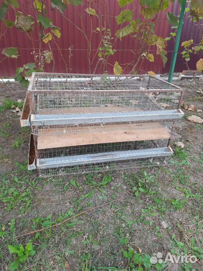 Клетка для перепелов