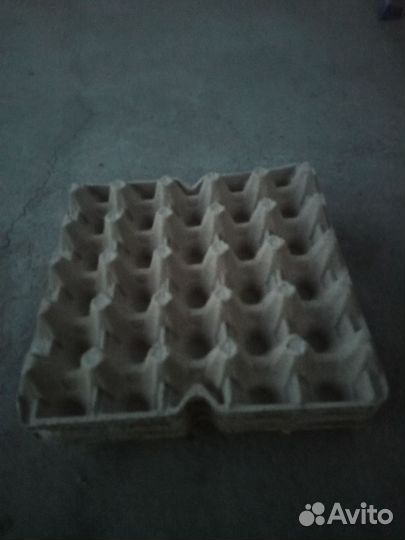 Ячейки для яиц