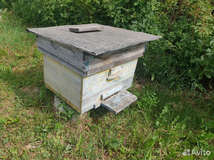 Улей с пчелами