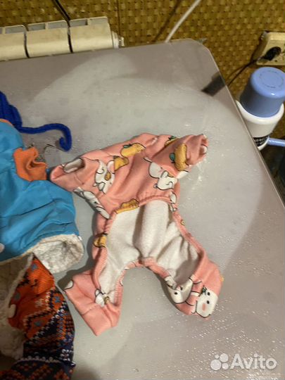 Одежда для маленьких собак