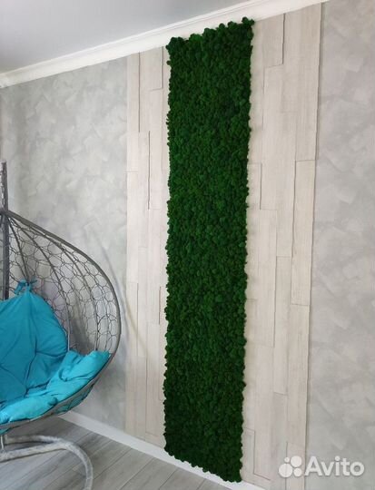 Мох стабилизированный. Картина