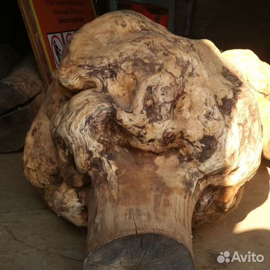 Кап березовый очищенный