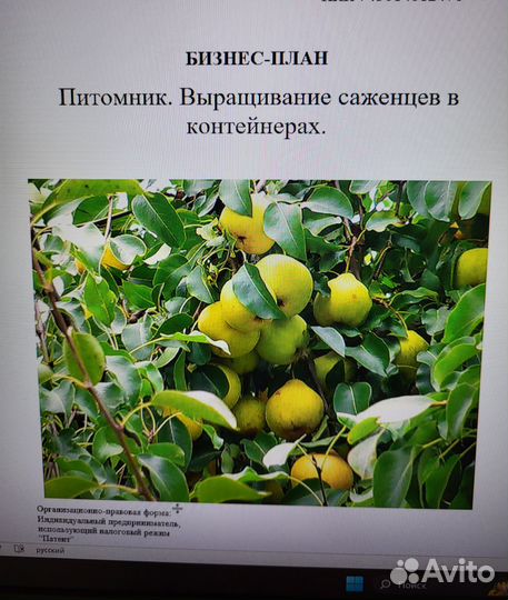 Бизнес план для соцконтракта