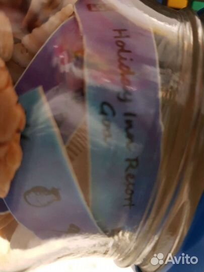 Морские ракушки раковины