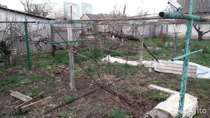 Шпалера для винограда, ежевики, малины