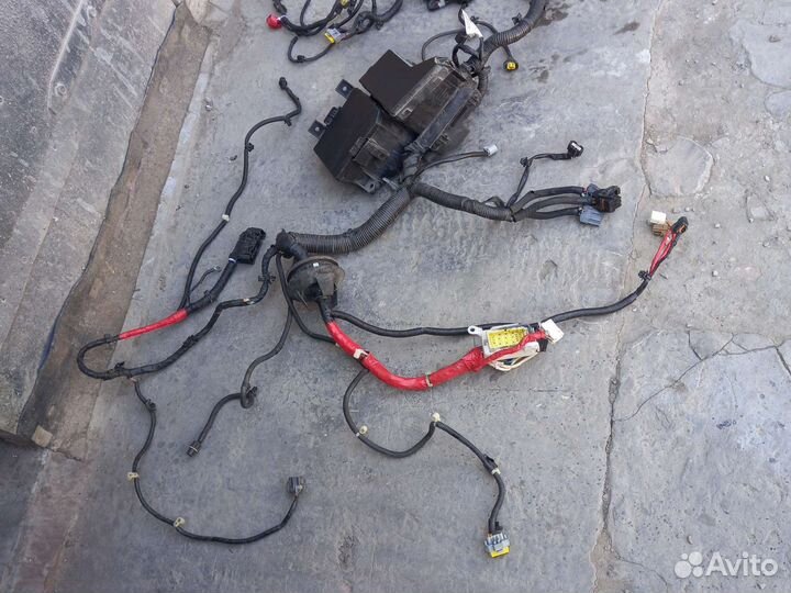 Проводка моторного отсека кашкай 10
