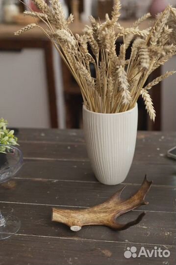 Натуральные лакомства для собак и кошек