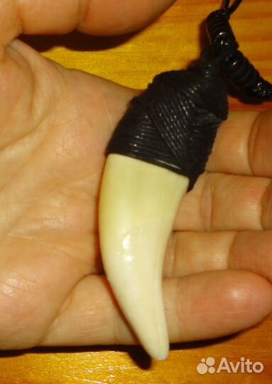 Таёжный Клык в обмотке. Амулет.Подвеска