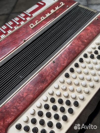 Баян Огонек 2