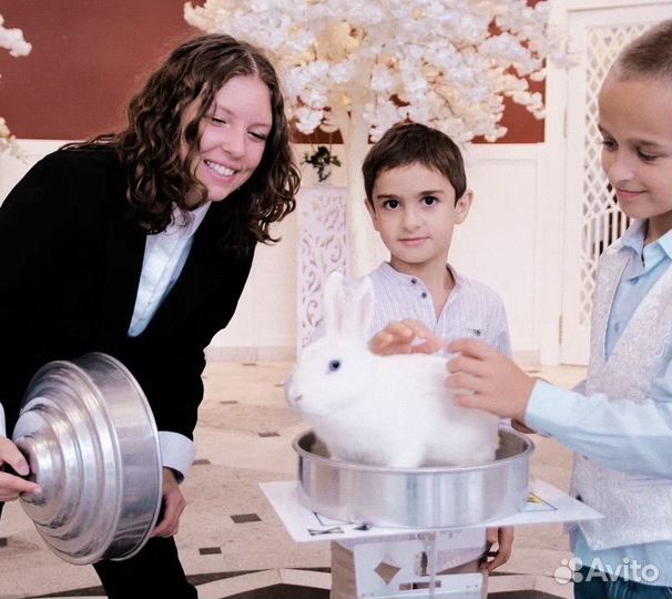 Фокусник на праздник