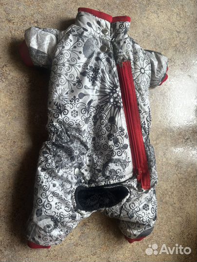 Одежда для собак мелких пород