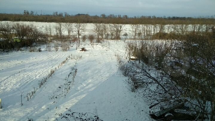 Дом 280 м² на участке 50 сот.