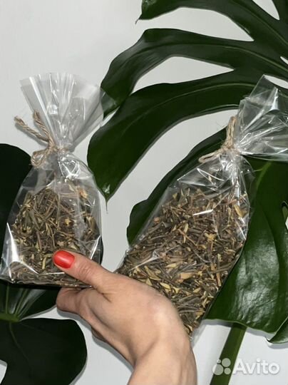 Сайган дайля