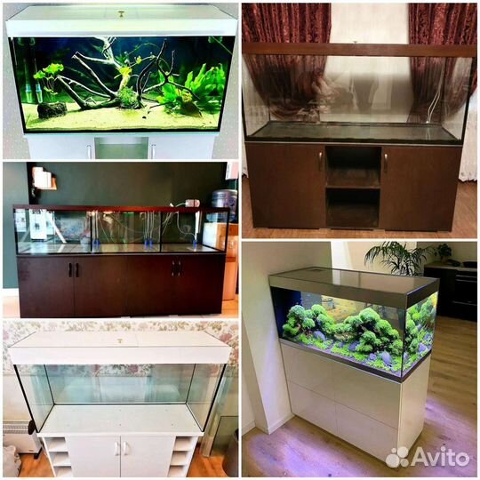 Аквариумы. Черепашники.Терариумы. Ростов