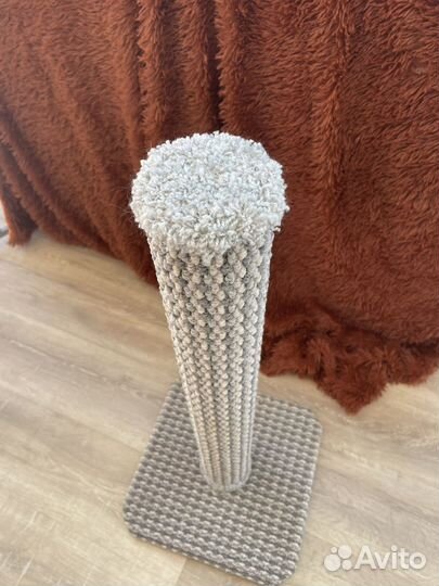 Когтеточка