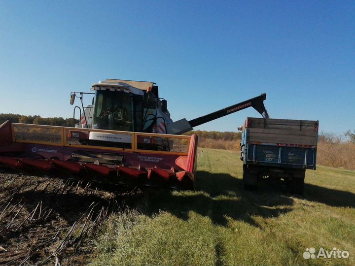Аренда самосвала до 6т