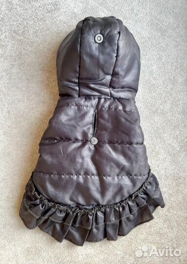 Курточка для собаки мелких пород XS