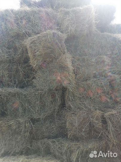 Сено в тюках и рулонах