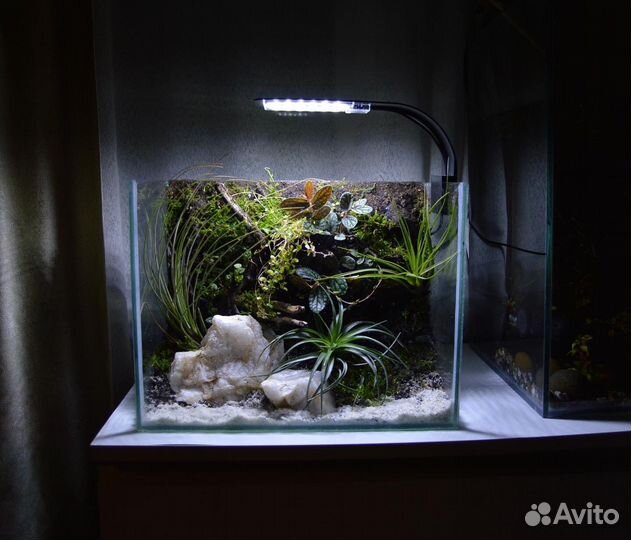 Террариум/флорариум