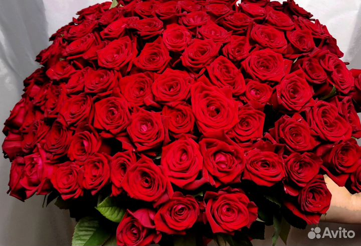Розы с доставкой, букет роз 101