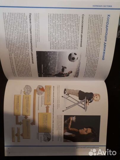 Продам Большой иллюстрированный атлас анатомии чел