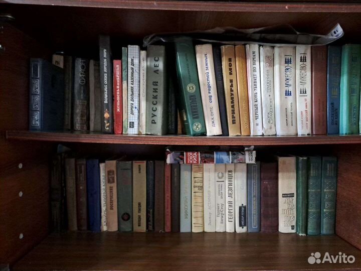 Книги отдам за шоколадку