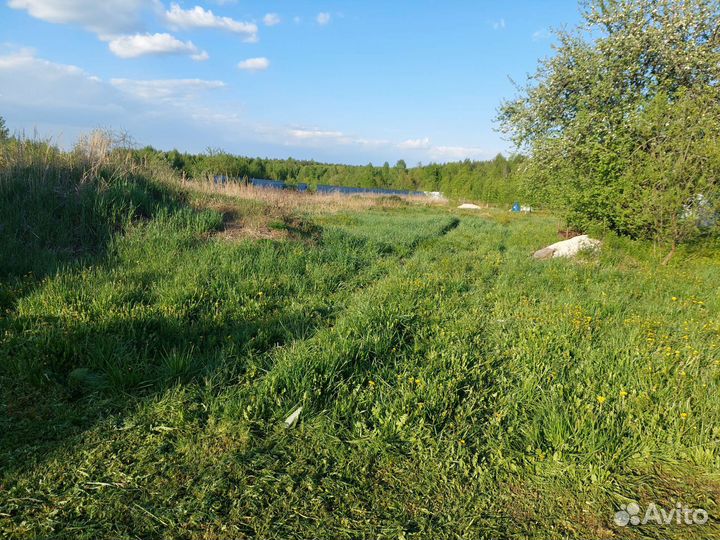 Покос травы и уборка