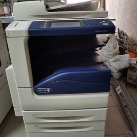 Мфу Xerox 5325