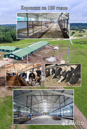 Животноводческая ферма (комплекс)