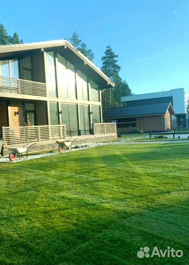 Рулонный газон