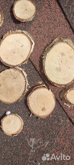 Спилы дерева берёза, слэб, декор