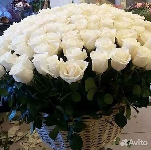 Высокие Розы Гиганты Доставка Круглосуточно