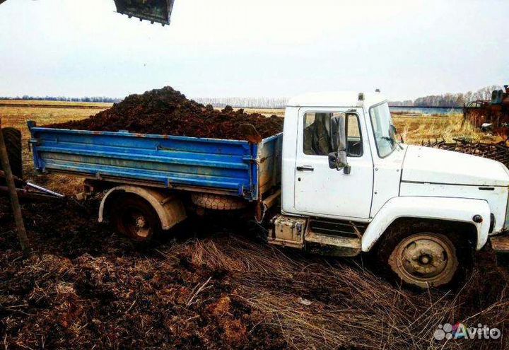 Низинный торф