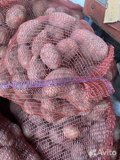 Продам картофель