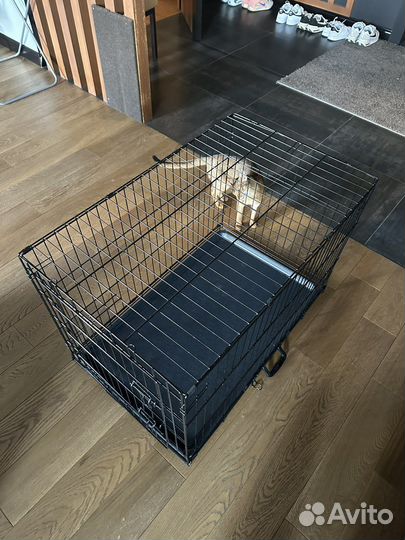 Вольер для кошек и собак