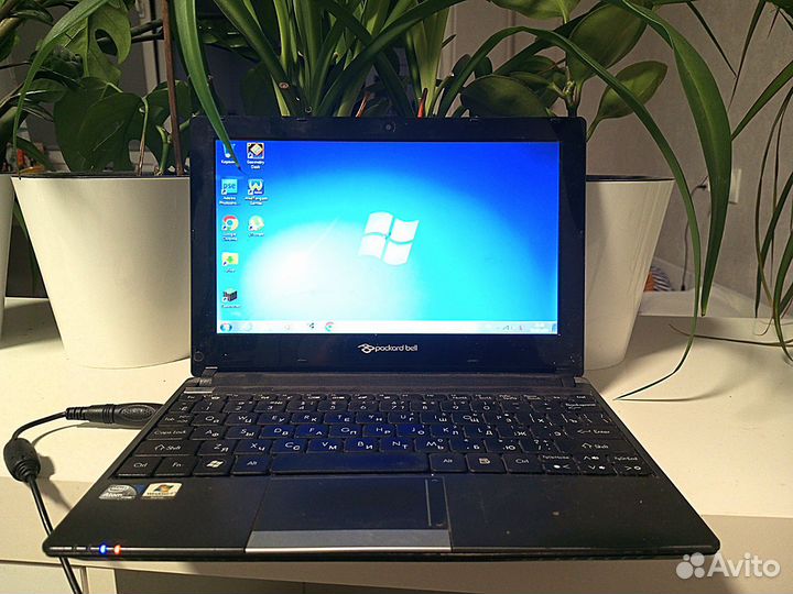 Нетбук packard bell