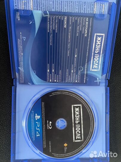 Жизнь после 