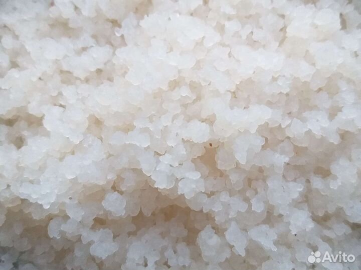 Индийский водяной рис.Зооглея