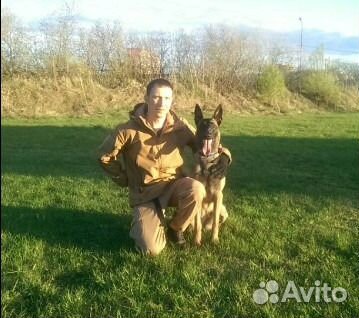 Дрессировка