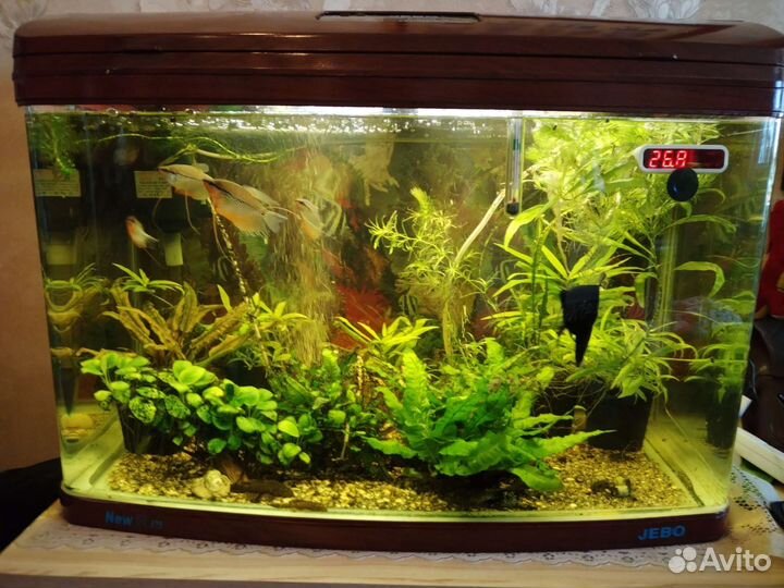 Украшение для аквариума