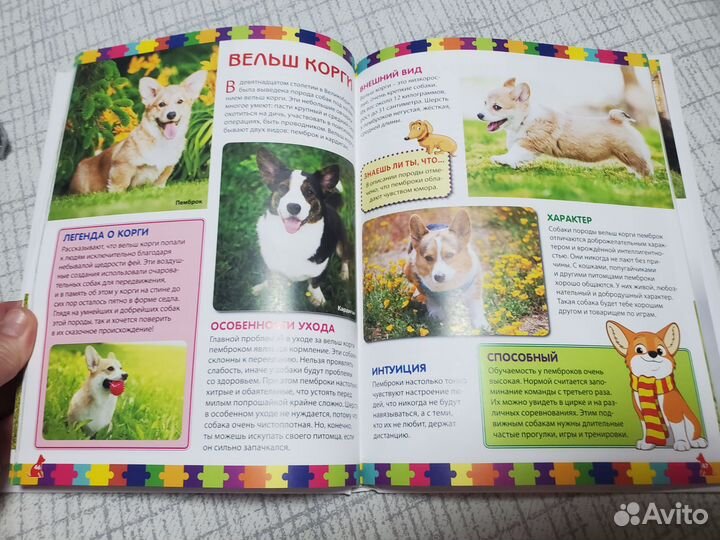 Детская энциклопедия. Собаки