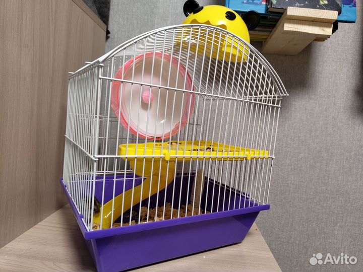 Хомяк с клеткой