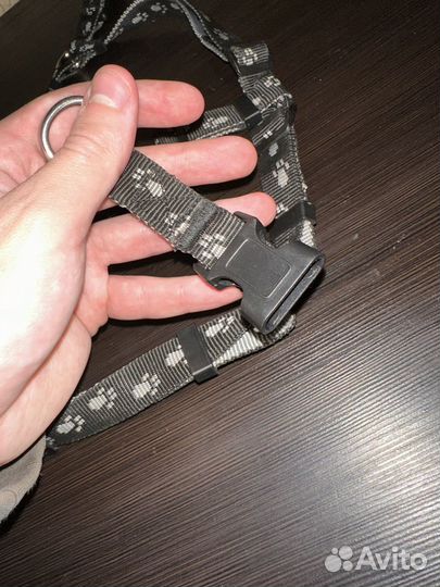 Шлейка для собаки