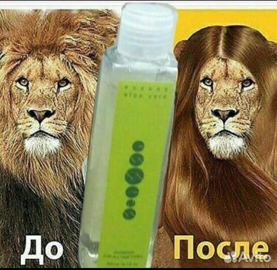 Шампунь, кондиционер Алое Вера, есенс